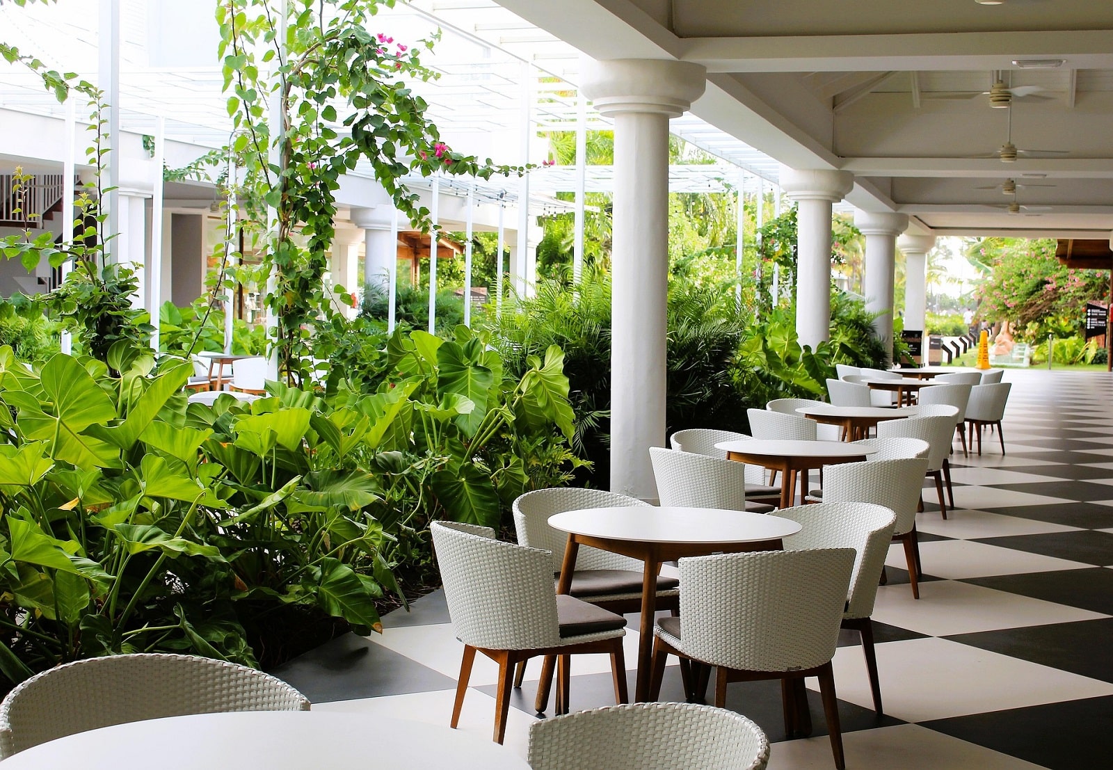 Discover the Finest Dining Experiences in Punta Cana: Top Restaurants